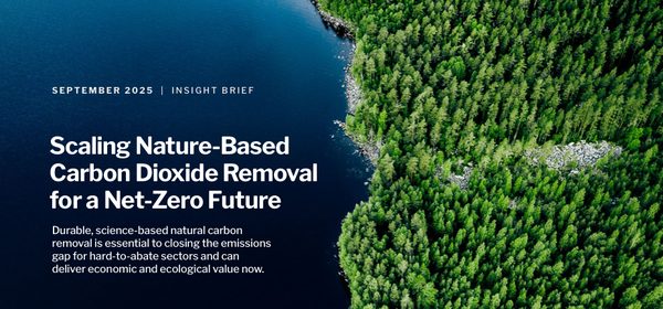 Carbon Dioxide Removal